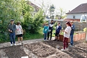Die Gem&uuml;seackerdemie am F&ouml;rderzentrum Pestalozzi (Foto: agl)