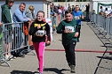 Zieleinlauf zum 10. Harztorlauf (Foto: agl)