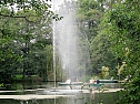 Impressionen im sommerlichen Stadtpark (Foto: Peter Blei)