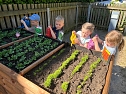 Am neuen Hochbeet k&ouml;nnen auch kleine G&auml;rtner gut arbeiten (Foto: Kindergarten Tierh&auml;uschen)