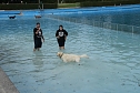 Hundebaden im Salzaquellbad (Foto: agl)