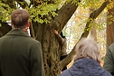 Artistik zwischen Baum und Borke - im Park Hohenrode lud man zu einem künsterlischen Waldspaziergang (Foto: agl) Artistik zwischen Baum und Borke - im Park Hohenrode lud man zu einem künsterlischen Waldspaziergang (Foto: agl)