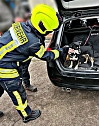 Entlaufener Hund ist wieder da (Foto: Feuerwehr Liebenrode)