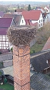 Sanierungsarbeiten am Storchennest in Winderhausen (Foto: Enrico und Nancy Hoffmann)