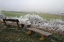 Winter in der Goldenen Aue (Foto: U.Reinboth)