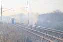 Feuer am Bahndamm bei Wollersleben und Wolkramshausen (Foto: S. Dietzel) Feuer am Bahndamm bei Wollersleben und Wolkramshausen (Foto: S. Dietzel)