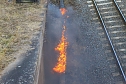 Feuer am Bahndamm bei Wollersleben und Wolkramshausen (Foto: S. Dietzel) Feuer am Bahndamm bei Wollersleben und Wolkramshausen (Foto: S. Dietzel)