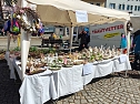 Frühlingsmarkt auf dem Rathausplatz in Nordhausen (Foto: Peter Blei) Frühlingsmarkt auf dem Rathausplatz in Nordhausen (Foto: Peter Blei)