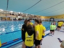 12 Nordh&auml;user Schwimmer beim 34. Nationalen Nachwuchsschwimmfest in Erfurt  (Foto: SVN 90)
