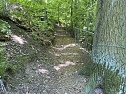 Gesperrter Wanderweg hinter den Wartt&uuml;rmchen in Nordhausen.  (Foto: vgf)
