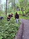 Zum Freiwilligentag engagierten sich die Schülerinnen und Schüler am Gedenkort Ellrich-Juliushütte (Foto: Oberschule Ellrich) Zum Freiwilligentag engagierten sich die Schülerinnen und Schüler am Gedenkort Ellrich-Juliushütte (Foto: Oberschule Ellrich)