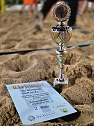 Erfolgreicher 16. Stadtwerke-Beachvolleyballcup (Foto: Stadtwerke Nordhausen) Erfolgreicher 16. Stadtwerke-Beachvolleyballcup (Foto: Stadtwerke Nordhausen)