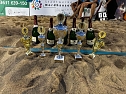Erfolgreicher 16. Stadtwerke-Beachvolleyballcup (Foto: Stadtwerke Nordhausen) Erfolgreicher 16. Stadtwerke-Beachvolleyballcup (Foto: Stadtwerke Nordhausen)