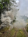 Waldbrand&uuml;bung der Feuerwehren  (Foto:  Feuerwehr)