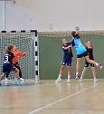 Handballnachwuchs holte Punkte (Foto: NSV)