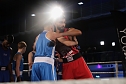 Boxgala in der Wiedigsburghalle (Foto: agl)