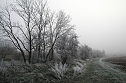 Winterlandschaft bei Kelbra (Foto: U.Reinboth)