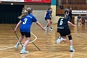 Handballdienst vom Wochenende (Foto: NSV)