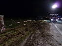Tierischer Unfall (Foto: BFW Nordhausen)