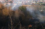 Flächenbrand oberhalb von Niedersachswerfen (Foto: vgf) Flächenbrand oberhalb von Niedersachswerfen (Foto: vgf)