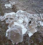 Umwelt wird verschmutzt (Foto: privat)