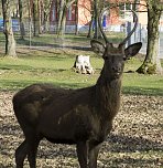 Unterwegs im Park (Foto: Karsten Thorhauer)