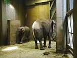 Besuch im Zoo (Foto: Blitzlicht-Nordhausen.de)