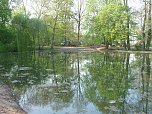 Spiegelbilder im Stadtpark (Foto: nnz)