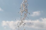 Wasserspiele (Foto: B. Winter)