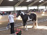 Landeszuchtschau in Wollersleben (Foto: Petra Heydecke)
