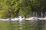 Triathlon (Foto: blitzlicht-nordhausen.de)