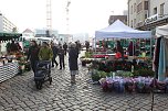 K&uuml;rbis- und Zwiebelmarkt (Foto: nnz)