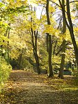 Goldener Herbst im Nordh&auml;user Stadtpark (Foto: Karsten Thorhauer)