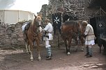 historisches Spektakel auf der Burgruine Hohnstein (Foto: vgf)