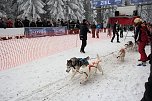 Schlittenhunderennen in Benneckenstein (Foto: Peter Blei)
