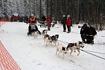 Schlittenhunderennen in Benneckenstein (Foto: Peter Blei)