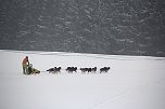 Schlittenhunderennen in Benneckenstein (Foto: Peter Blei)