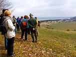 Wanderung in den Fr&uuml;hling (Foto: privat/Harzklub Auleben)