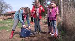 Laubb&auml;ume gepflanzt (Foto: nnz)