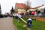 Maibaum in Obergebra gesetzt (Foto: Michael Randel)