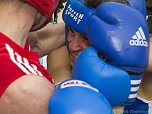 Boxen in Bleicherode (Foto: Karsten Thorhauer)