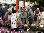 Zwiebelmarkt in Nordhausen (Foto: nnz) Zwiebelmarkt in Nordhausen (Foto: nnz)