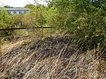 Brand an der Darre (Foto: privat)