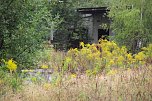 Das Gelände des einstigen Kraftverkehrs gleicht derzeit einer Wildnis. Allerlei Gestrüpp und Unkräuter aller Art konnten sich jahrelang ausbreiten und überwuchern, was einmal ein Unternehmen war. (Foto: K. Frank) Das Gelände des einstigen Kraftverkehrs gleicht derzeit einer Wildnis. Allerlei Gestrüpp und Unkräuter aller Art konnten sich jahrelang ausbreiten und überwuchern, was einmal ein Unternehmen war. (Foto: K. Frank)