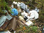 Illegale Entsorgung (Foto: nnz)