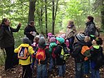 Im Wald was erleben und erfahren (Foto: privat)
