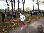 15. Stadtparklauf Sondershausen (Foto: Karl-Heinz Herrmann)
