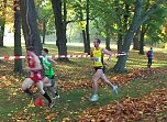 Stadtparklauf (Foto: Karl-Heinz Herrmann)