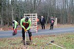 Neuanpflanzung (Foto: nnz)