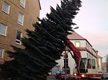 Ein letzter Gru&szlig; zu Weihnachten (Foto: WBG)